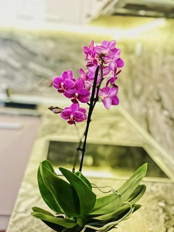 Spacious And Bright Maisonette Varna Center エクステリア 写真