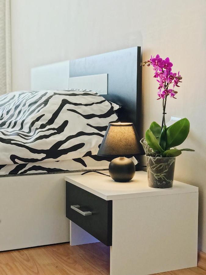 Spacious And Bright Maisonette Varna Center エクステリア 写真